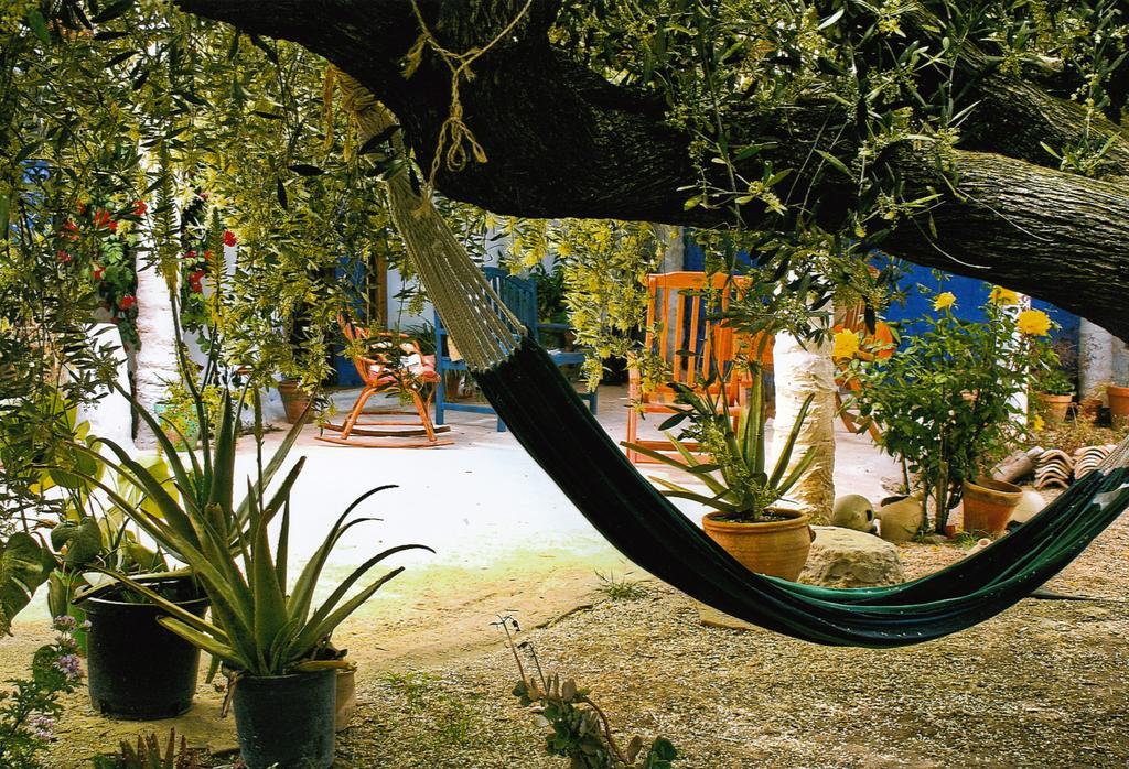 Casa Rural Aloe Vera Huercal-Overa Luaran gambar