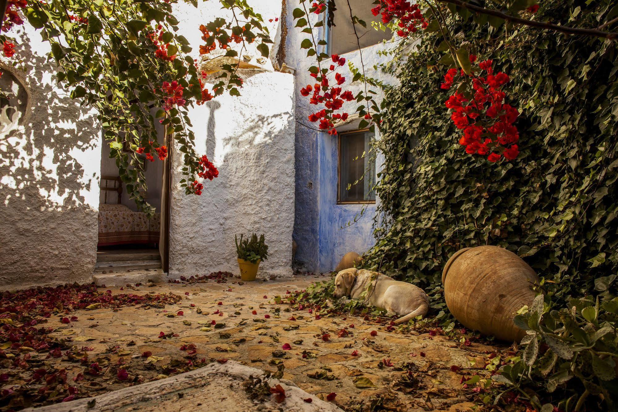 Casa Rural Aloe Vera Huercal-Overa Luaran gambar